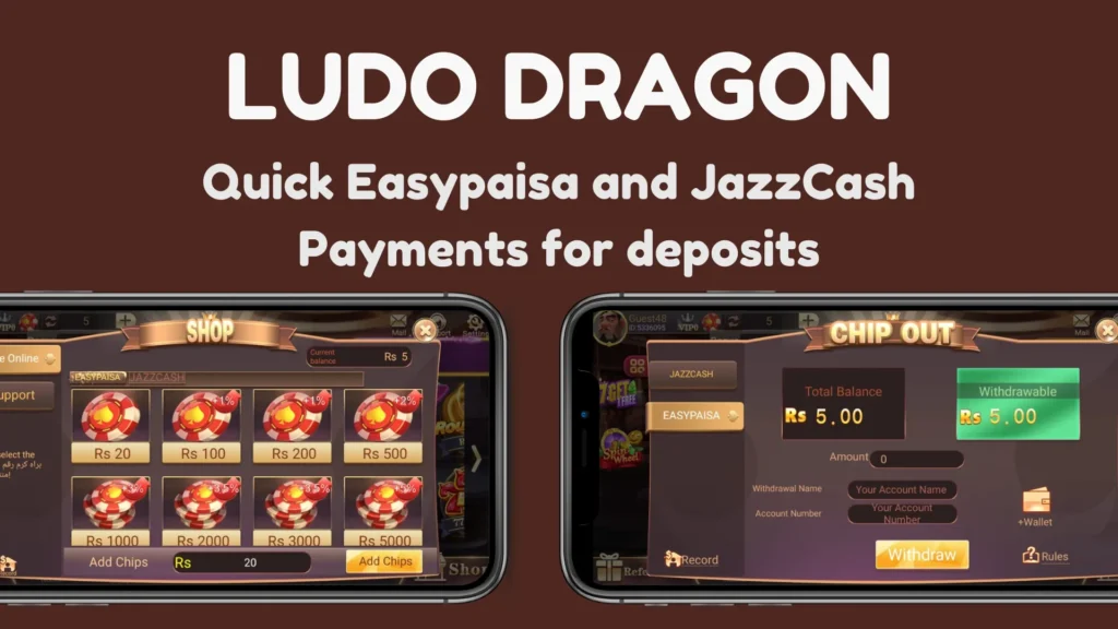 Ludo Dragon App